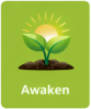 Success Momentum-Awaken