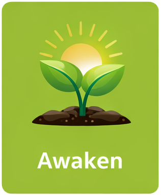 Read more about the article Wake Up to Your Power & Get Ready to Profit